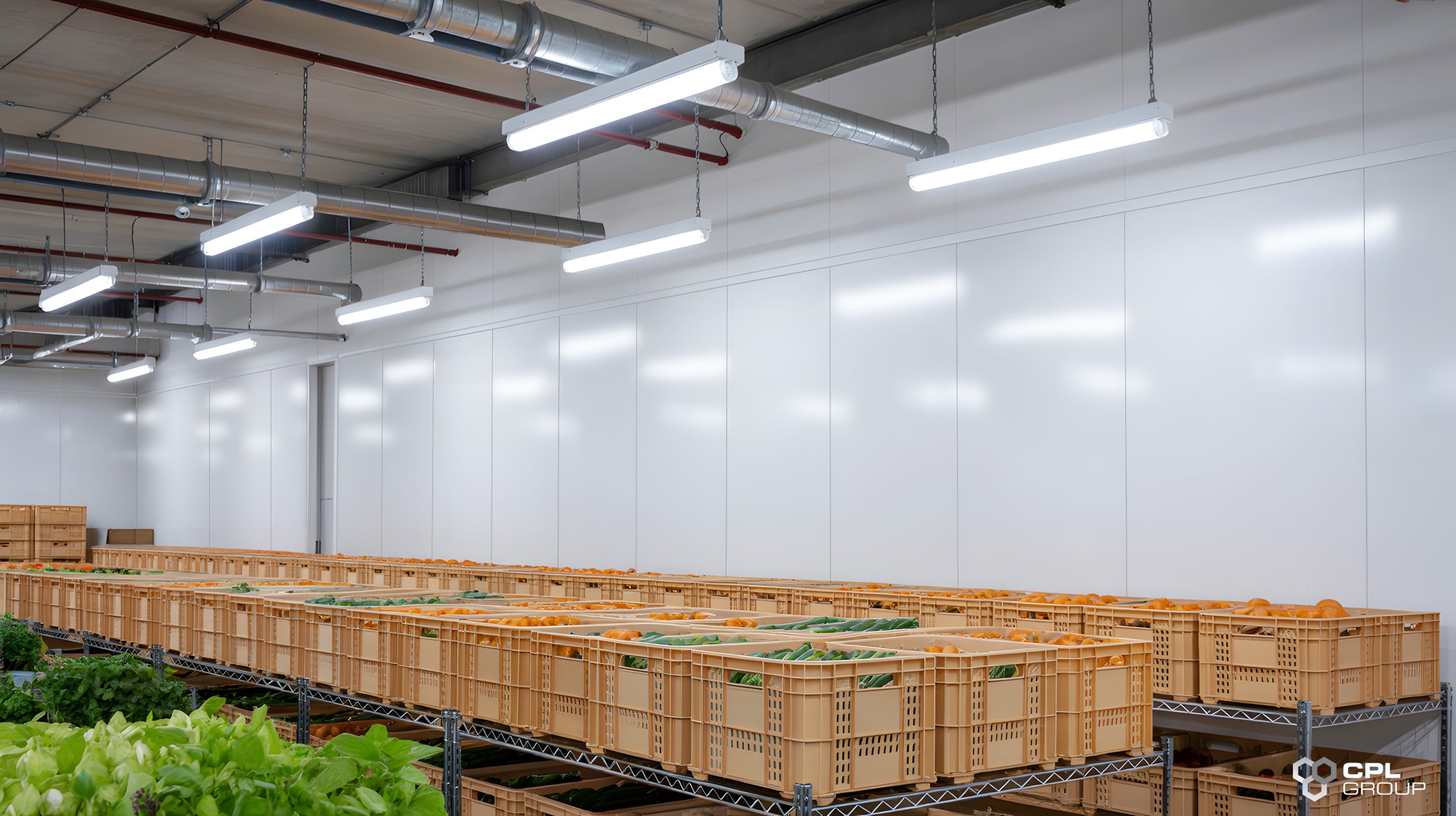 Industrial Thermal Solutions | Food Processing | CPL Group